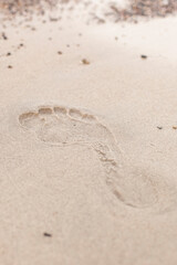 Fototapeta na wymiar Footprint in the sand. Tracks on the shore. Fußabdruck im Sand. Spuren am Ufer.