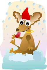 Chihuahua sit under snowing weather