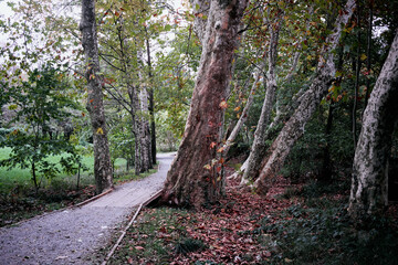 Sartirana lake - Merate, Lecco, Lombardy Italy - November 2022.