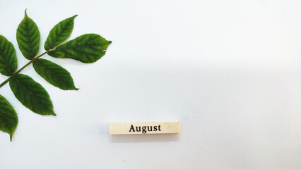 concept design with green leaves and August month in wood shape on white background