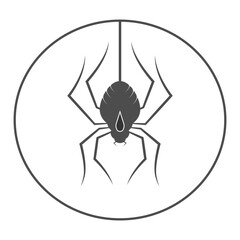spider logo vector