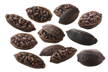 Halved and whole cocoa pods with whole fermented cacao beans (Theobroma cacao fruit w seeds)...