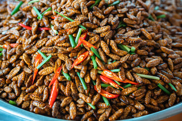 Fried Larvae, Skuon Cambodia