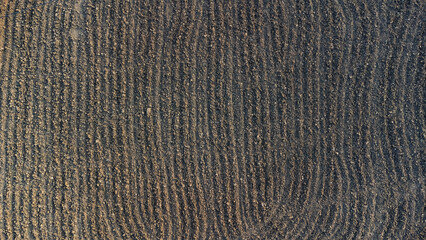 Beautiful HD Landscape images - Indian village wallpapers - agriculture filed 