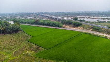 Beautiful HD Landscape images - Indian village wallpapers - agriculture filed 