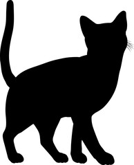 Silhouette Cat Pet Animal