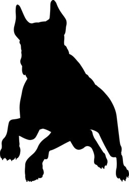 recommend clip art: Dog Silhouette Pet Animal