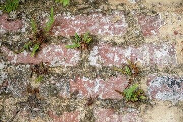 old brick wall