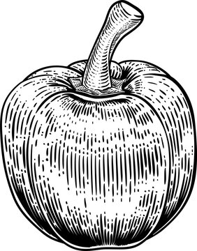 recommend clip art: Bell Pepper Woodcut Vegetable Illustration