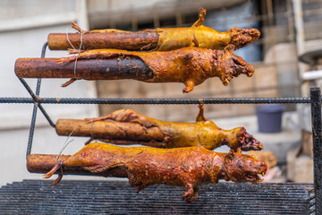 A traditional dish of the indigenous people of the Ecuadorian Andes: roasted guinea pig. (Cuy)