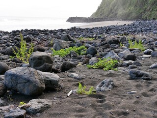 Plage basaltique de Lombo Gordo sur l'île de Sao Miguel aux Açores. Portugal