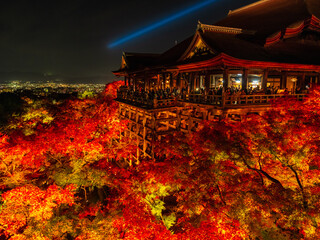 Dramatic view of red maple leaves at night in autumn, Kiyomizu Temple in Kyoto in Japan, Travel or Trip
