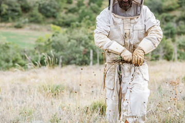 Crop beekeeper with bundle of dry grass
