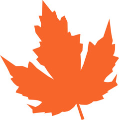 Maple leaves leaves isolated illustration