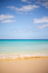 Endless Ocean