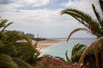 Fototapeta na wymiar Fuerteventura Strand mit Palmen