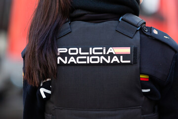  National Police Corps. State Security Forces and Bodies. Citizen security. European police....