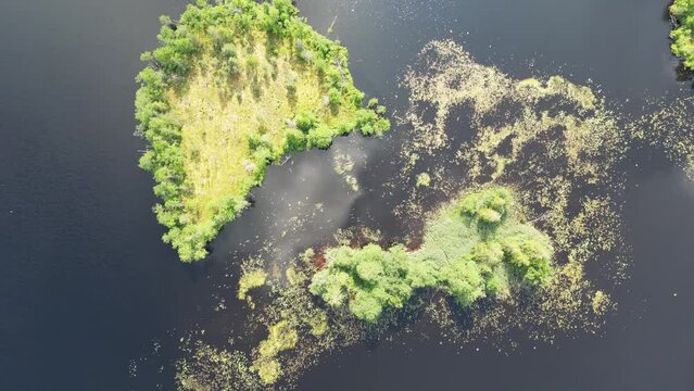 Aerial view of the beautiful small summer islands in lake. Small islands covered in green forest. Aerial drone flies forward top down over a small island with a green forest. 