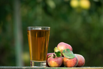 Apple juice in a glass with fresh ripe apples on a wooden table in the garden, around it are apples trees. Tasting fresh juice in the orchard in a summer day outdoors close-up