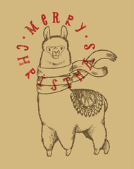 Christmas lama. Lama wearing scarf vintage typography silkscreen t-shirt print vector illustration.