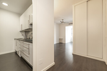 Small kitchen of a studio apartment with dark floors and white built-in cabinets with sliding doors