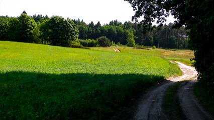 Country road in Kashubian village.