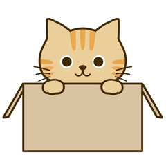 ダンボールに入って何かを伝える茶トラ猫