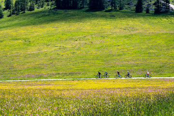 a group of mountain bike cyclist on a gravel road between green meadows