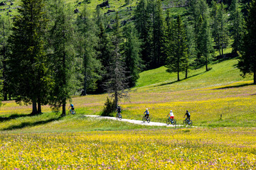three mountain bike cyclist on a gravel road along meadows and forest in the Italian Alps