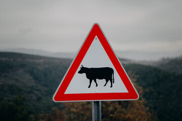 A traffic cow sign on the forest background
