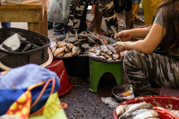 Venta de pescados frescos en el mercado de la ciudad de Yurimaguas, Loreto - Perú - obrazy, fototapety, plakaty