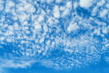 Fototapeta na wymiar Altocumulus stratiformis perlucidus cloud against the bright blue sky. Nature