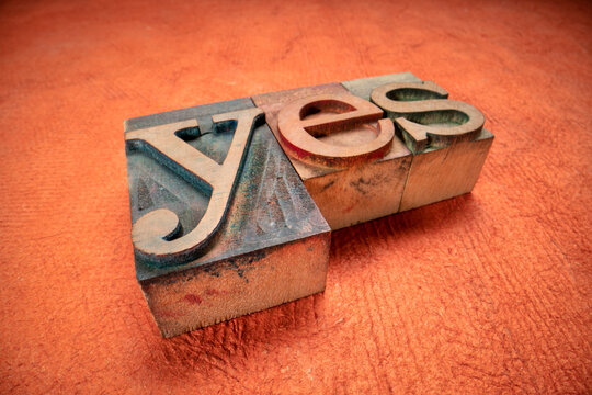 yes - word in wooden letterpress printing blocks, stained by dark color inks, macro shot against textured bark paper, confirmation concept