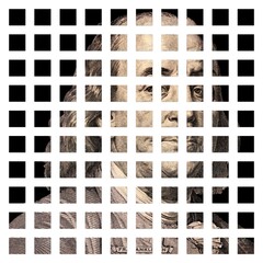 Banner with Portrait of U.S. president Benjamin Franklin