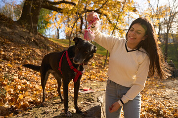 Joyful young woman is playing with sad dog in park