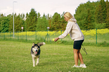 Naklejka na ściany i meble A girl plays with a husky dog ​​with a tennis ball in nature in the summer.