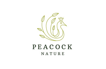 Peacock bird with leaf illustration line logo design template