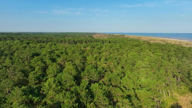 Drone footage over Naturschutzgebiet Oranjezon nature reserve in Vrouwenpolder, Netherlands