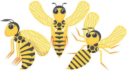 Set Abstract Collection Flat Cartoon Different Animal Insect Beetle Wasps Fly, Attacks Vector Design Style Elements Fauna Wildlife