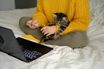 Plakat woman makes an online order at the pet store and pays with credit cards. shot of a beautiful little cat sitting next to a laptop while its owner is shopping online with a credit card in the background