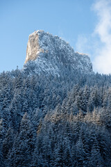 Carpathian, Romania, 2021-12-28. Romanian mountain illuminated by the sun with conifers under the snow.