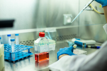 cell culture  at the medicine , medical and biology laboratory