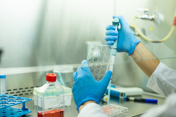 Fototapeta premium cell culture at the medicine , medical and biology laboratory