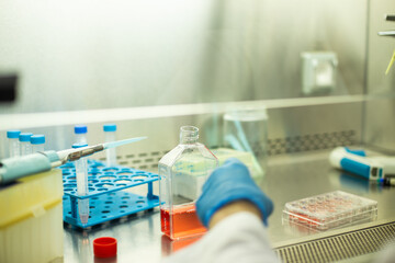 cell culture  at the medicine , medical and biology laboratory