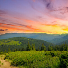 Naklejka na ściany i meble Beautiful sunset in the Carpathian mountains in summer.