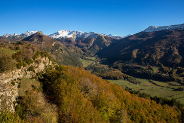 Fototapeta na wymiar Irati forest in autumn, Salazar valley, Puerto de Larrau next to the French border, Navarra, Spain