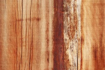 wooden background close up