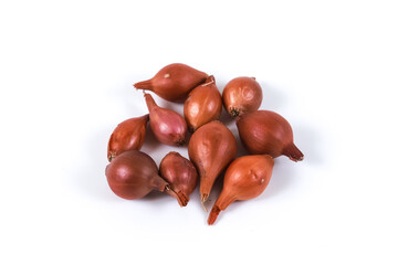 Onion seeds. Bulbs are small. Shallow depth of field