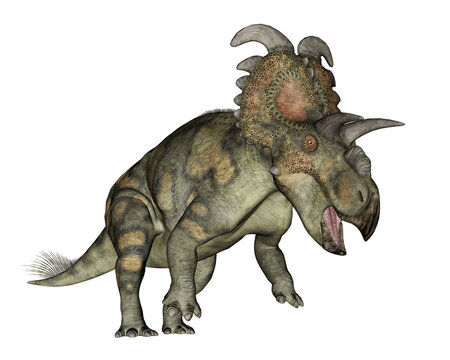 Albertaceratops dinosaur - 3D render