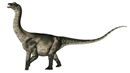 Antarctosaurus dinosaur - 3D render © Elenarts